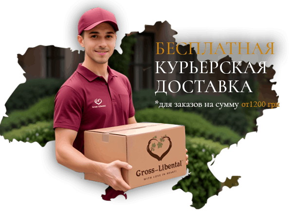 Доставка вина Доставка вина